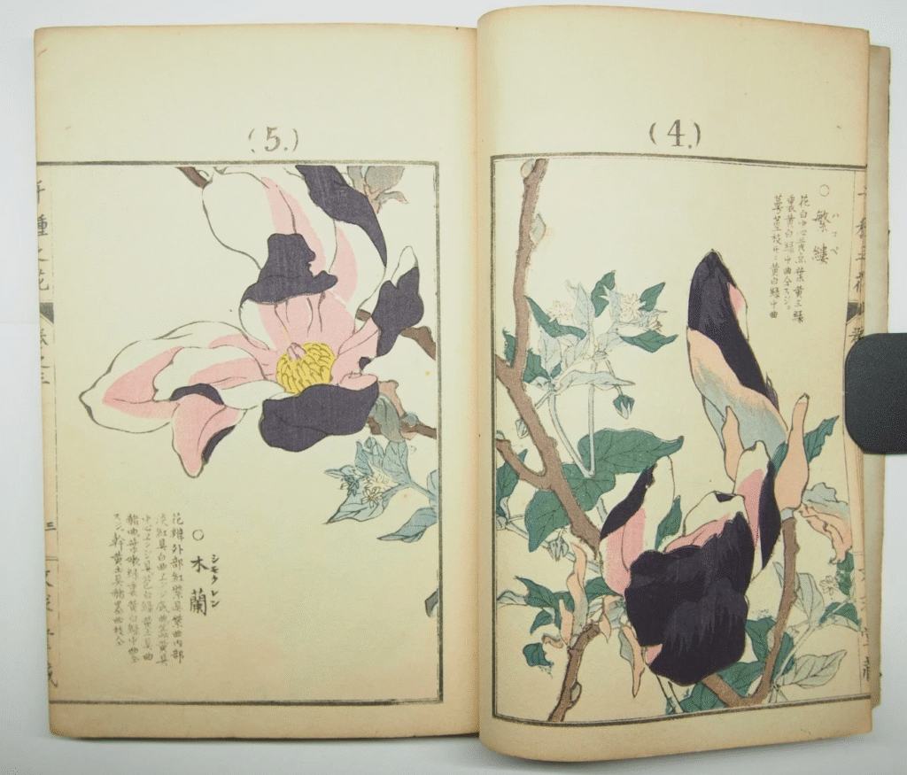 花鳥画　多色摺木版画【10点85,900円】